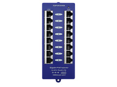 8 Port Gigabit Passive PoE Injector