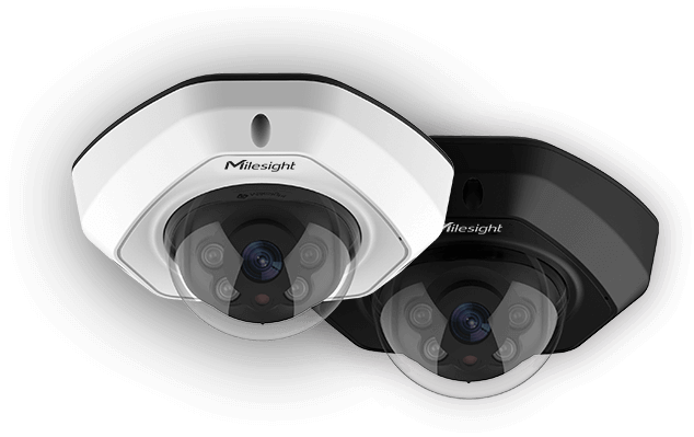 Milesight 2MP AI Vandal-Proof Dome Network Camera | MS-C2973-PD
