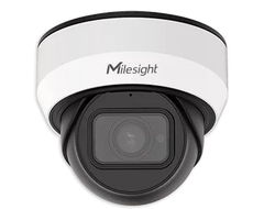 Milesight 2MP Outdoor Vandal-Proof Dome Camera | MS-C2975-FPD